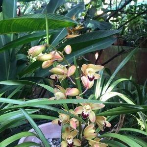 Meet your Posher, Juan